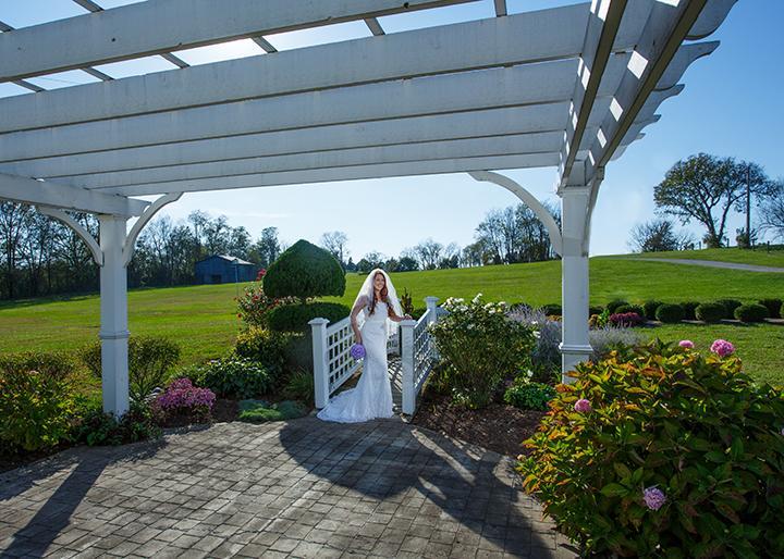 Rabbit Creek Bed & Breakfast Versailles Exterior photo